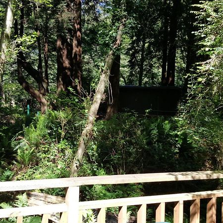 טרינידד Emerald Forest Cabins חדר תמונה