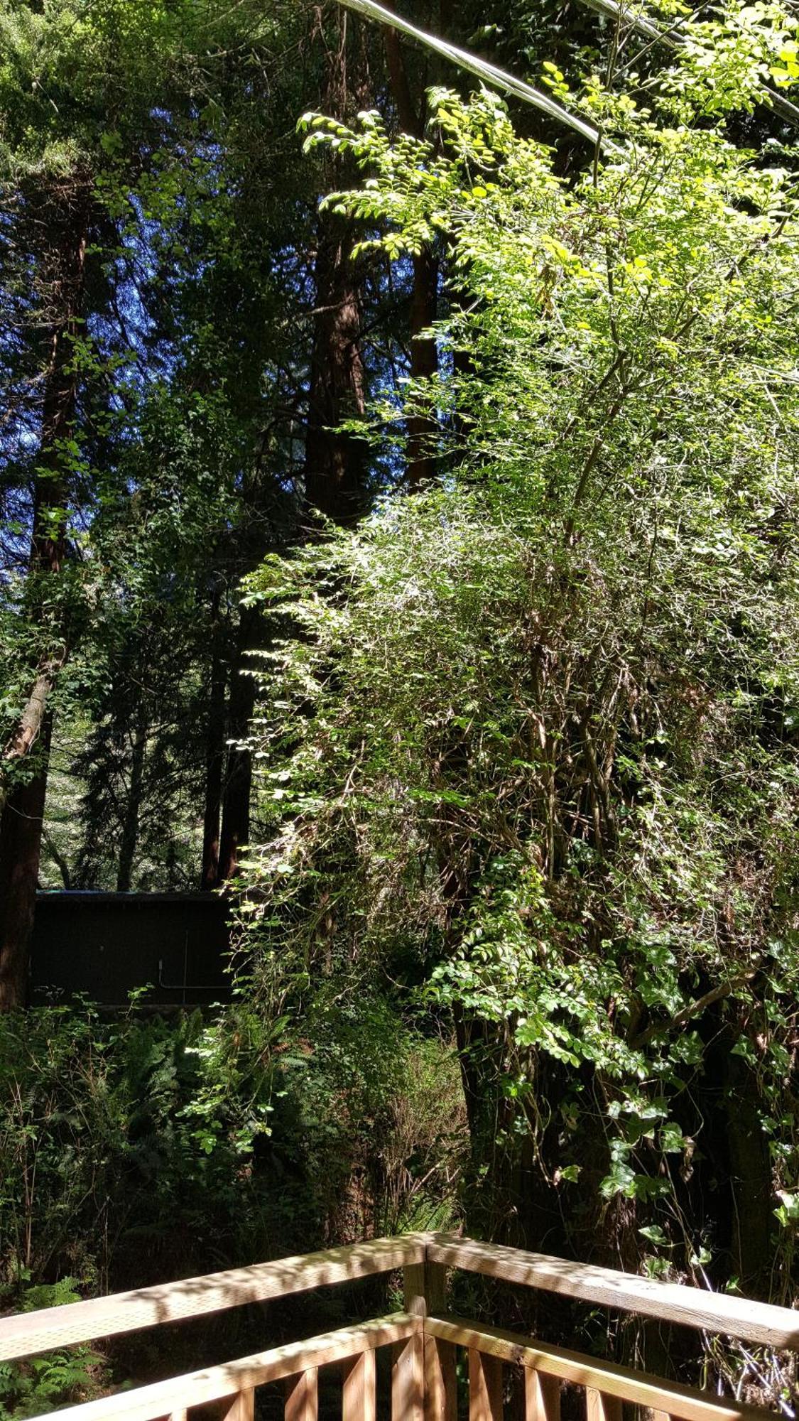 טרינידד Emerald Forest Cabins חדר תמונה