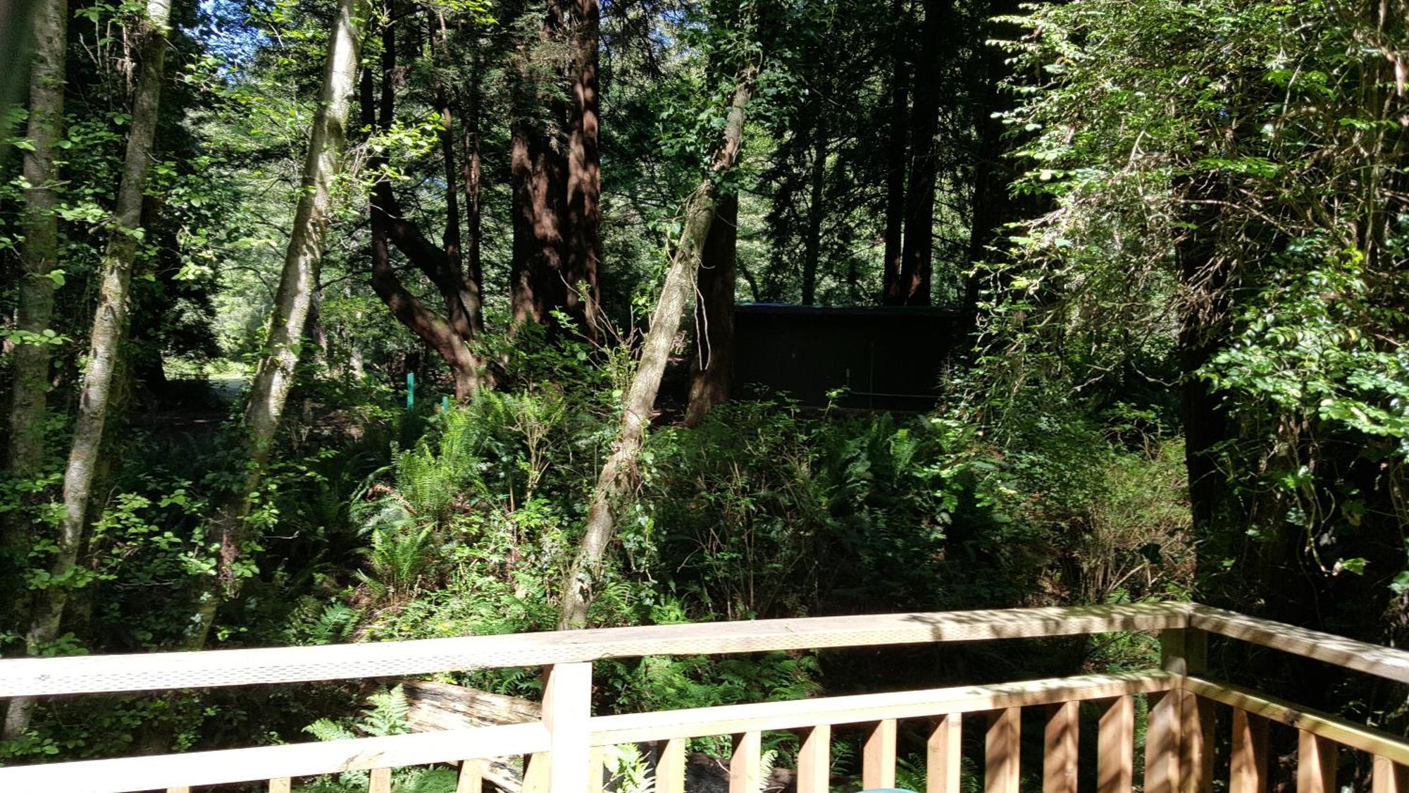 טרינידד Emerald Forest Cabins חדר תמונה