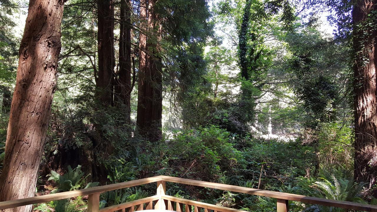 טרינידד Emerald Forest Cabins מראה חיצוני תמונה