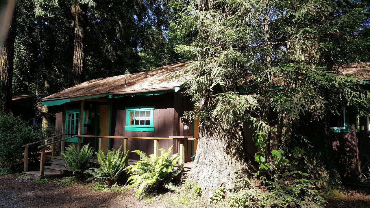 טרינידד Emerald Forest Cabins מראה חיצוני תמונה