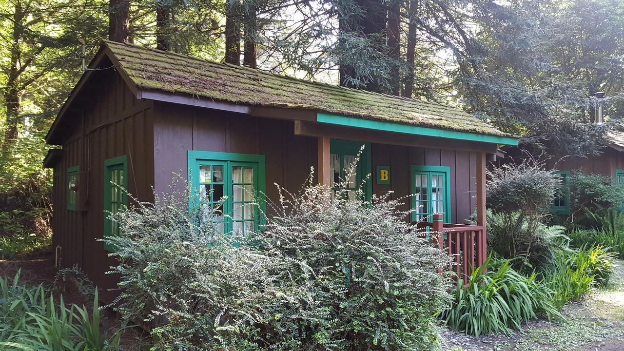 טרינידד Emerald Forest Cabins מראה חיצוני תמונה