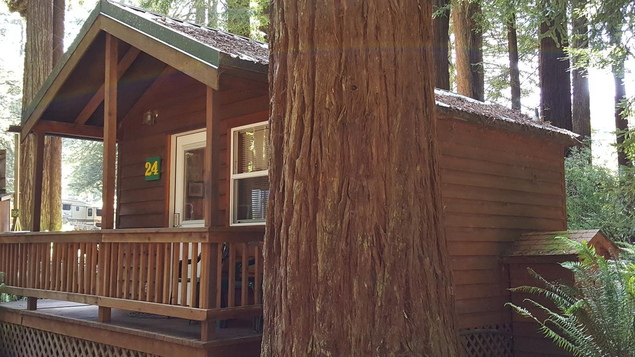 טרינידד Emerald Forest Cabins מראה חיצוני תמונה