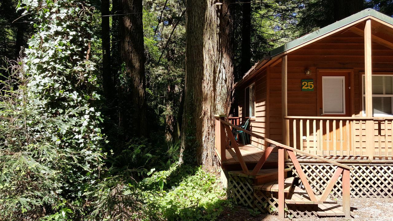 טרינידד Emerald Forest Cabins מראה חיצוני תמונה
