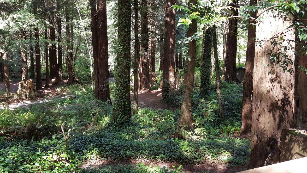 טרינידד Emerald Forest Cabins מראה חיצוני תמונה