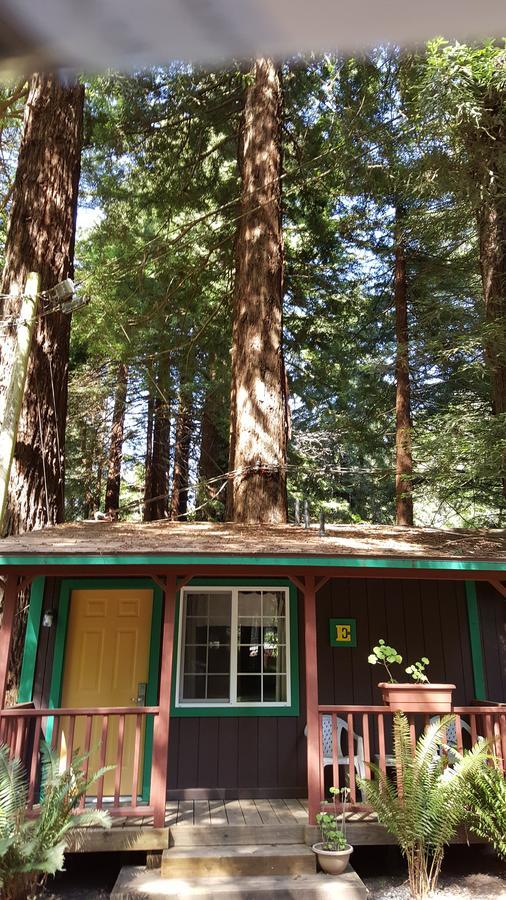 טרינידד Emerald Forest Cabins חדר תמונה