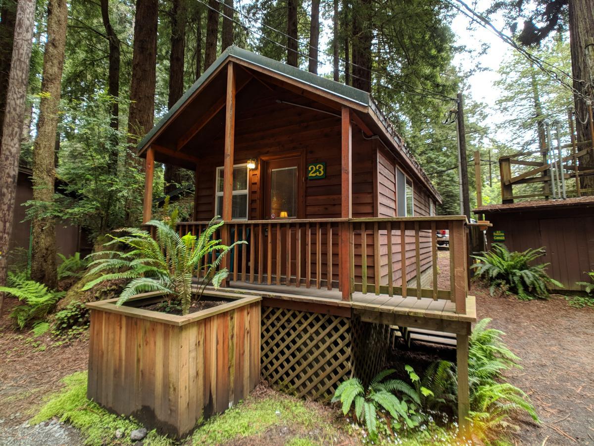 טרינידד Emerald Forest Cabins מראה חיצוני תמונה