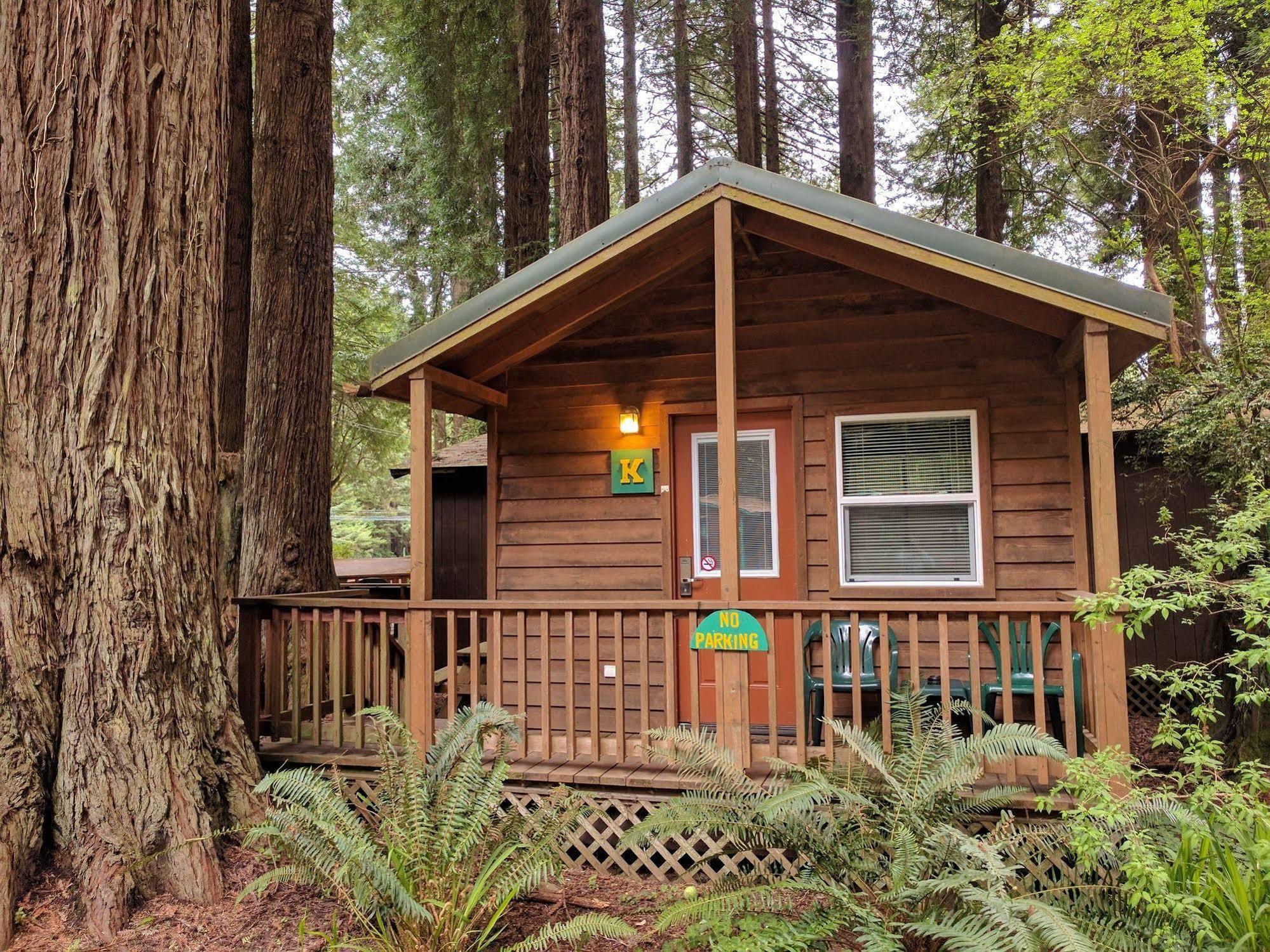 טרינידד Emerald Forest Cabins מראה חיצוני תמונה
